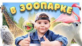 видео: Зоопарк Лимпопо ! Наши приключения среди животных, птиц и хищников. #зоопарк #животные #обезьяна картинка: Зоопарк Лимпопо ! Наши приключения среди животных, птиц и хищников. #зоопарк #животные #обезьяна