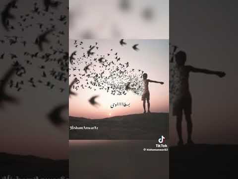 أنا حر أنا حر الهضبة من فيلم ايس كريم في جليم