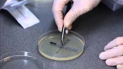 Oxoid M.I.C.Evaluator Strips -- Workflow Module