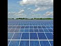 Negative Strompreise: Das passiert, wenn Sonnenstrom das Netz flutet