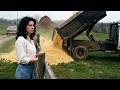 The Company Buried Her Land in Sawdust…Then Her Crops Started Breaking Records