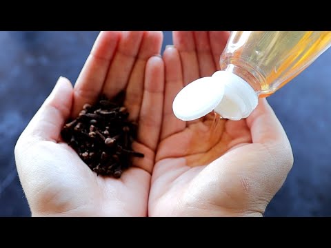 Kill Cockroaches, Ants, Fleas, Bedbugs, Caterpillars and Flies | Homemade Insecticide Recipe