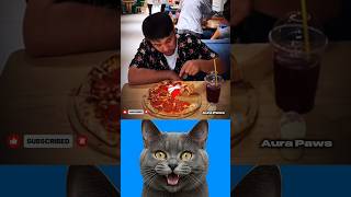Wait For End 😂 #funny #cat #popular #latest #shorts