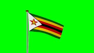 Zimbabwe flag green screen videos free use #national #flags