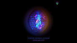 Bnature, Mihanika, Urvnium - Starnge Cat Psy4Aliens