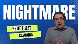 How 1 Petit Theft can turn into a Nightmare!