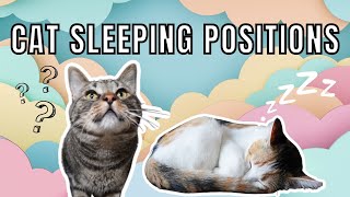 What A Cat’s SLEEPING POSITION Means About Their Personality! | Facts About Cats