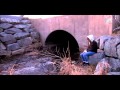 Foster the People - Life on the Nickel (Music Video)