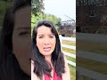 8 horses die in fire that destroyed barn