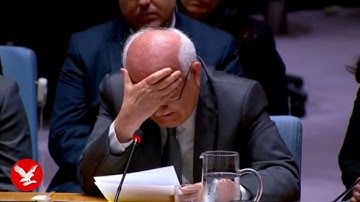 Palestinian UN envoy breaks down in tears over children dying in Gaza