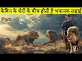 नए घर में जाते ही सभी शेर आपस में लड़ने लग जाते हैं || The True Story Of Kevin Richardson Lions ||