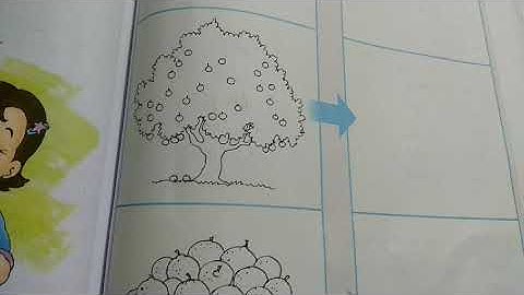 Exercise of chapter 8.   IN THE ORCHARD.