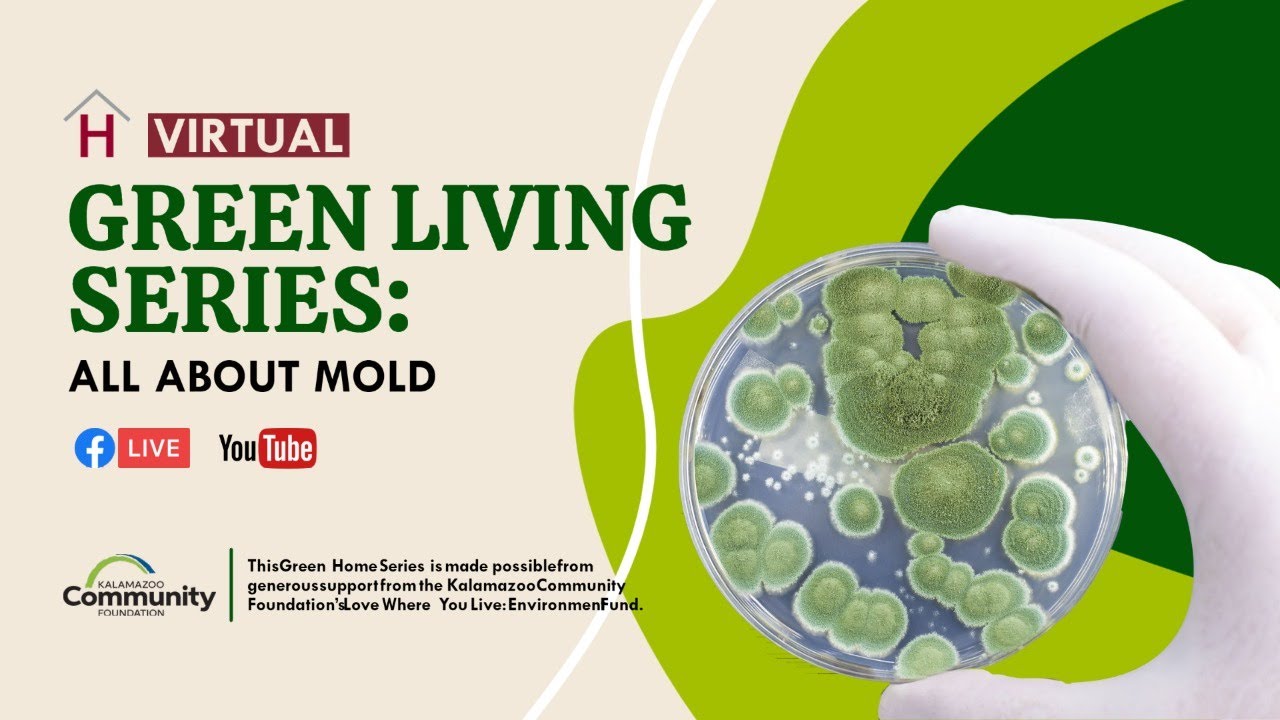 Virtual Green Living Series: All About Mold