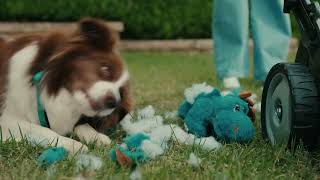 PEC0002 Pet Circle Petlightenment Campaign Delivery 1 1920x1080 15sec MASTER
