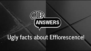 Ugly facts about efflorescence