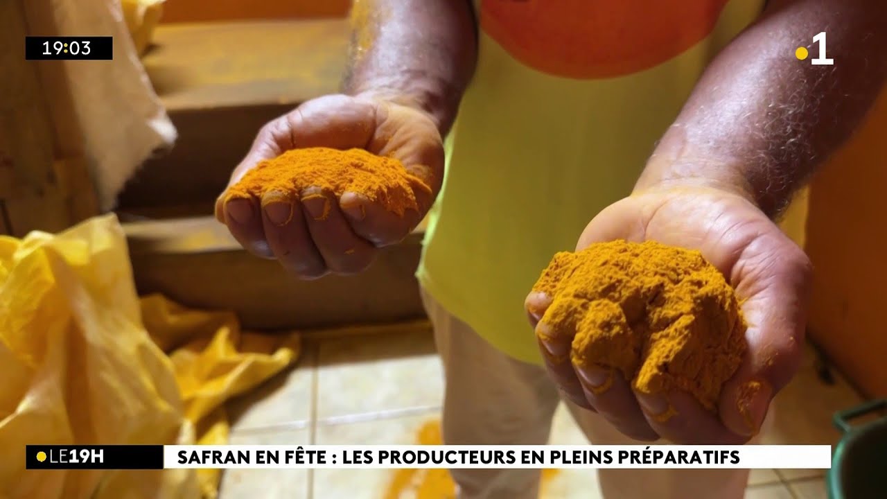 La fête du Safran se prépare à la Plaine-des-Grègues, malgré les difficultés de la filière.