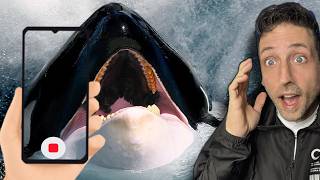 Explaining The Most Viral Animal Videos On The internet!