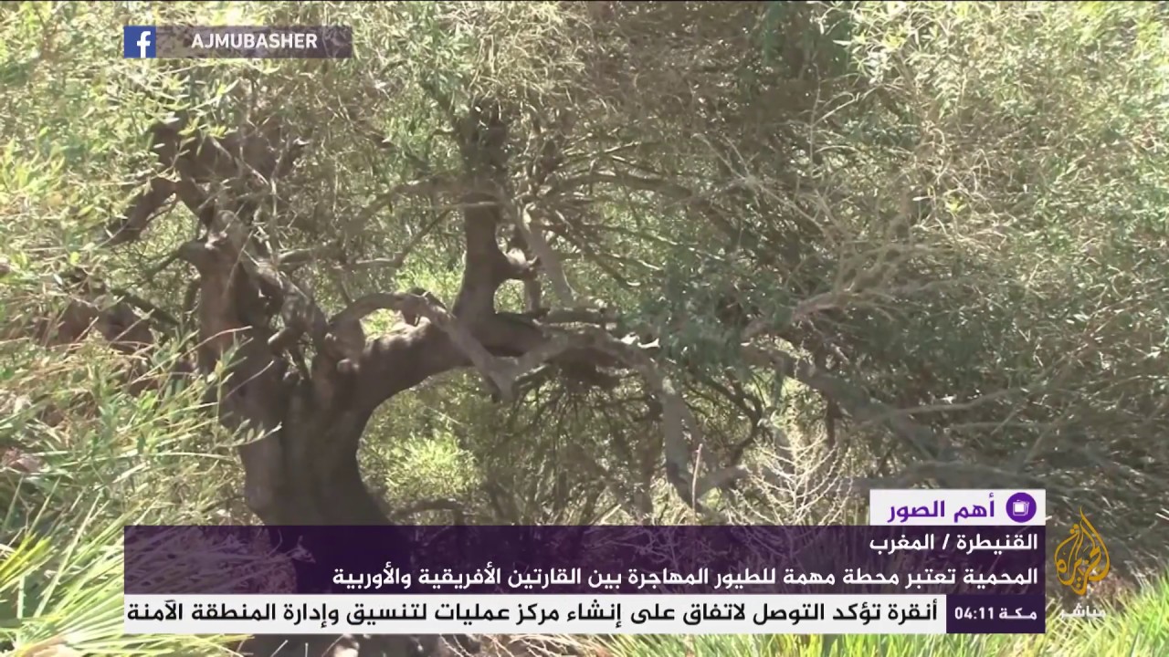 المغرب.. خبراء يحذرون من انخفاض منسوب مياه بحيرة محمية سيدي بوغابة