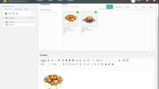 Famous MODx Content Editor Tools AssetsTV Net Worth