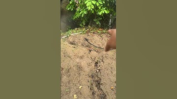 Ống LDPE Nguyễn Tân sau một năm sử dụng