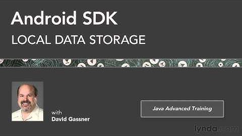 06 01 goodbye Android SDK Local Data Storage