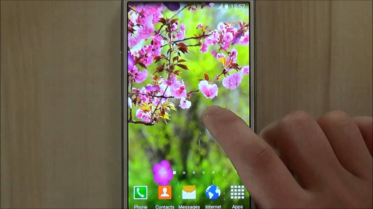 Free sakura garden live wallpaper for Android phones and tablets