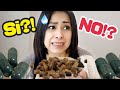 Raíz de tejocote para adelgazar.. mi experiencia / dieta perder peso