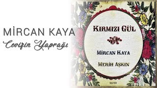 Mircan Kaya - Cevizin Yaprağı Resimi