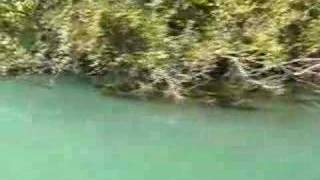 Carpatica - In The Evening