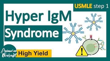Hyper IgM syndrome | Hyper IgM syndrome causes | USMLE step 1