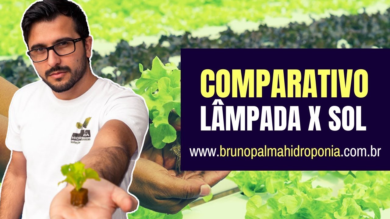 Comparação entre cultivo com Lâmpada e Sol - Hidroponia