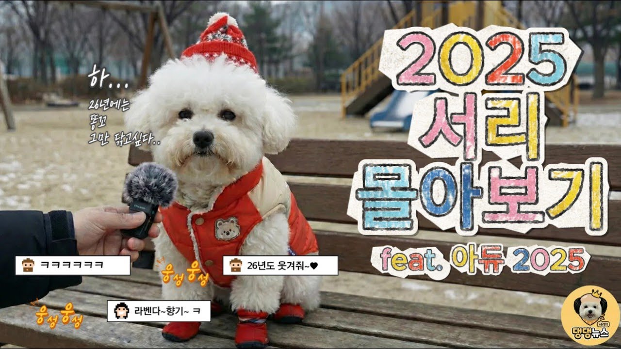 강아지 인터뷰 모음집 몰아보기 아듀 2025