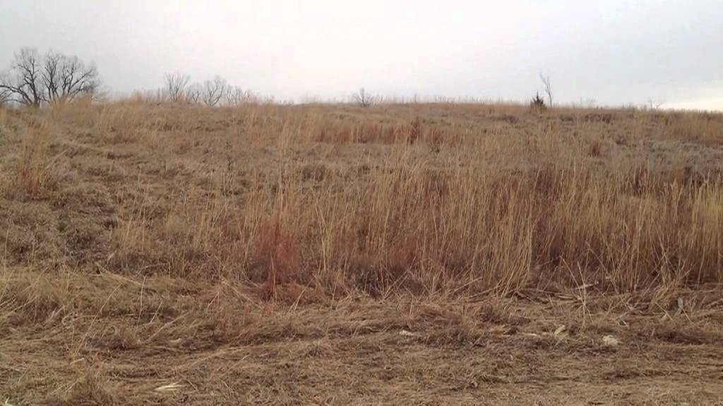 *SOLD*Brown County Kansas Farmland Auction Jack Schock Trust, Hiawatha