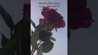 ‏السرور اللي يجي والسرور اللي يروح  أنت سبّة روحته . وأنت سبّة جيّته