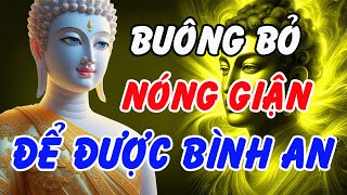 Buông Bỏ Để Bình An: Lời Phật Dạy Giúp Vượt Qua Nóng Giận, Tìm Lại Tĩnh Lặng Nội Tâm