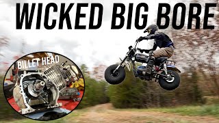 Tillotson 236cc Racing Engine Build | Our Quickest Racing Mini Bike Yet! by CarsandCameras 153,189 views 4 months ago 56 minutes