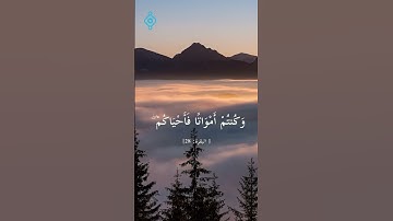 سورة البقرة الآية 28 | فارس عباد |Bakara Suresi 28. Ayet | Fares Abbad