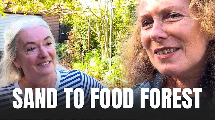 How to transform a sandy suburban block into a thriving food forest