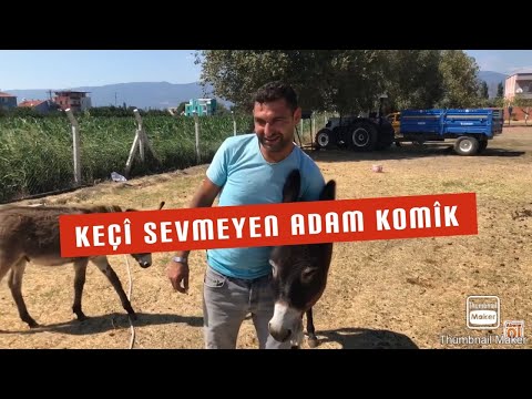 KEÇİ LAFINI DUYUNCA DELİREN ADAM~ EFSANEYİ HATIRLAYALIM :)