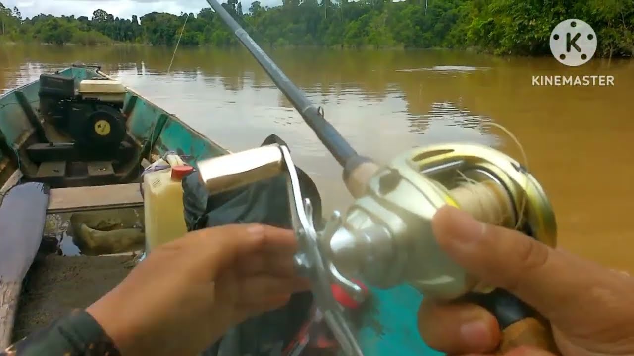 Casting Lais Tembiring‼️Di Sungai Kapuas