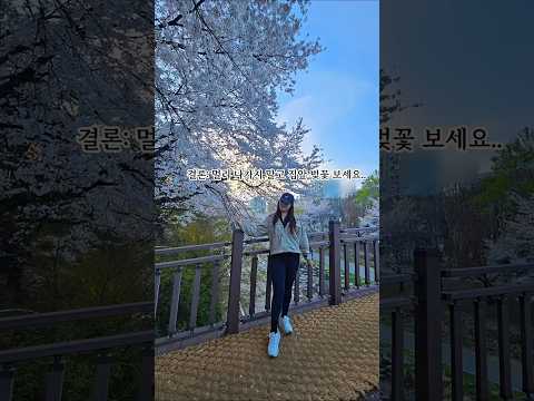 <strong>석촌호수</strong> 벚꽃 실시간 후기.. (가지 마세요)