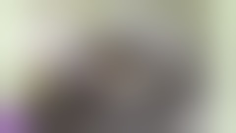 Big Pythons Attack    Big Snake attack compilation Caught on