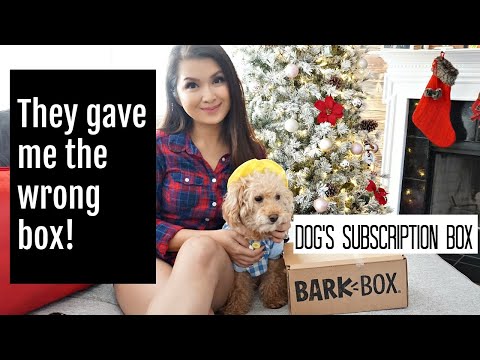 unboxing--barkbox-nov-2019-|-subscription-box-for-dogs