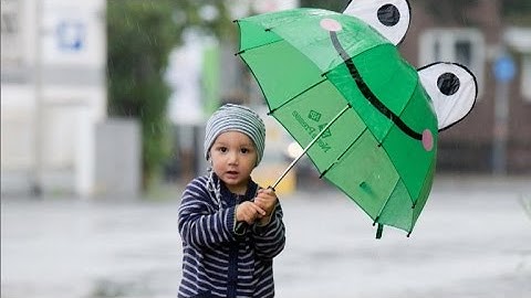 Small Wonders:  The umbrella