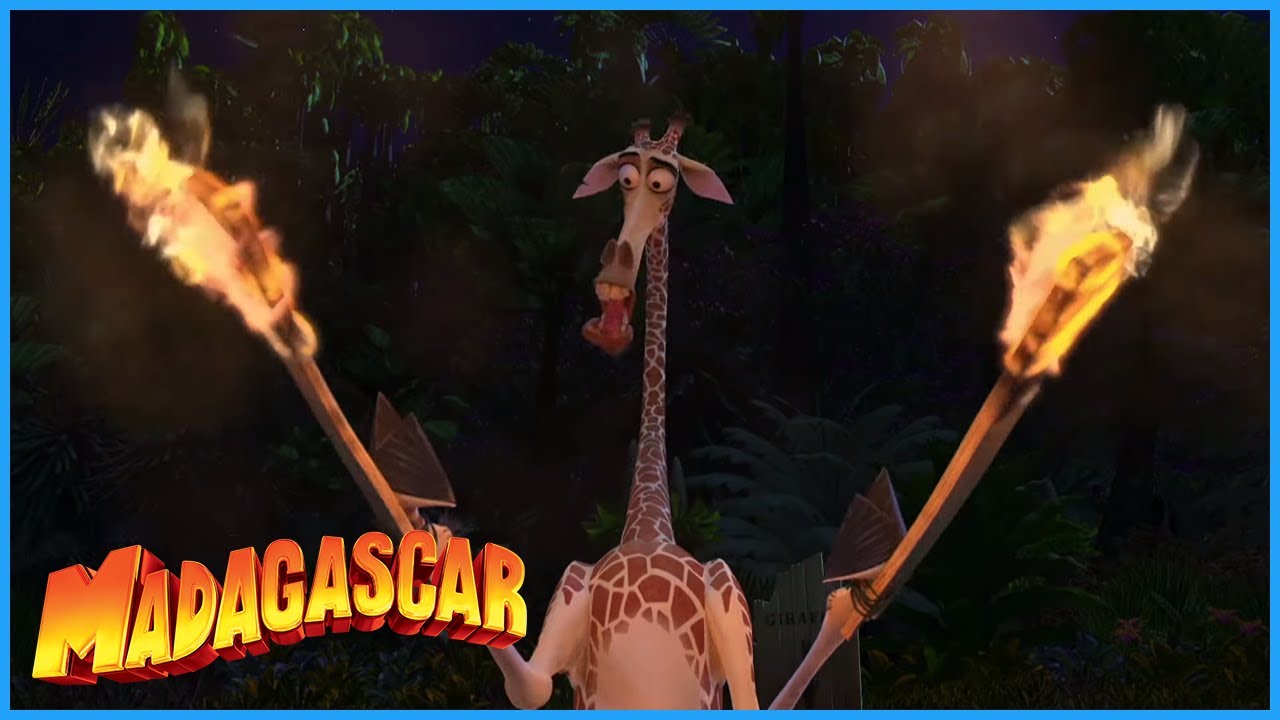 DreamWorks Madagascar | Dividing The Island | Madagascar Movie Clip
