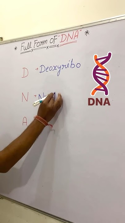 Full Form Of DNA DNA Ka Full Form Kya Hai Full Form DNA dna-ka-full-form-rna-ka-full-form-atp-ka-full-form-adis-ka-full-form