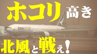 【成田空港】もはや何も見えない!? 台風級の北風と恐怖のウインドシア、荒れ狂う砂嵐の中で格闘する着陸機の雄姿を追った！