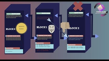 Blockchain coding in Python under 30 Minutes 2021 - Codies Alert