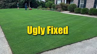 Fixing an Ugly Lawn  2 Week Cure