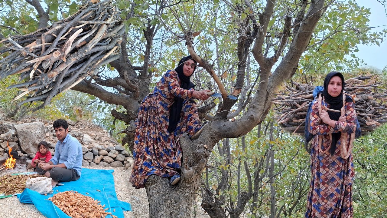 Authentic nomadic life 🌲 Gathering firewood and peeling oak bark 🌳 ...